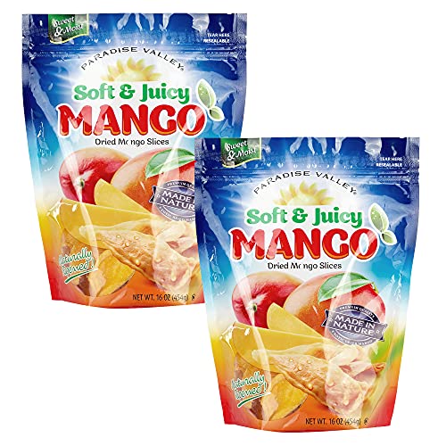 10 Best Top 10 Philippine Brand Dried Mango Costco Picks For 2021 of 2022