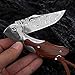 SPIRIT DEED Men's Damascus Folding Knife, 3.4 inch Damascus Steel Blade Redwood Handle EDC, Used for Camping and Hunting pocket knife
