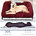 TYMONT Dog Beds Large Sized Dog Orthopedic, Sofa Dog Bed with Waterproof Lining and Nonskid Bottom, Rectangle Washable Dog Bed for Medium Small Dogs and Cats Comfortable (Color : Red, Size : 23 x 18)