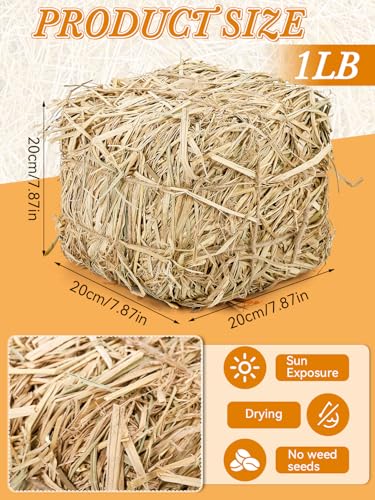 Natural Straw Bale for Cat Shelter – 8"x8"x8" (1.6 LB) Soft & Dry Straw Bedding for Cats, Feral Cats & Small Animals | Decorative Hay Bale for Outdoor Use, Farm Décor, Mulch & Pet Bedding - Image 3
