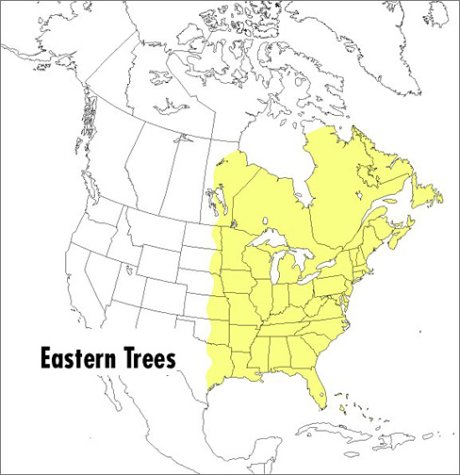 A Field Guide to Eastern Trees: Eastern United States and Canada, Including the Midwest (Peterson Field Guide) - Image 2