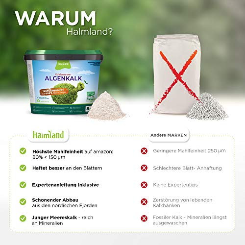 halmland Algenkalk tegen buxusmot - Verbazingwekkende versterking van de buxus met profylaxe en redding bij aantasting… - Image 8