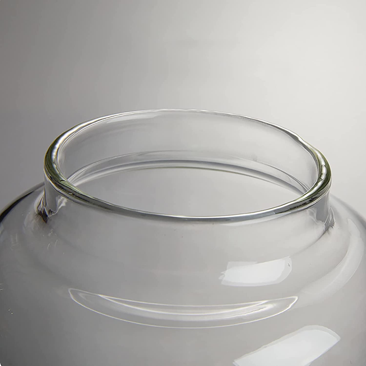 Recipiente de almacenamiento de vidrio transparente Frascos de especias Bote, Botella con tapa Frasco sellado Almacenamiento de almacenamiento doméstico Lata de té Hierbas medicinales Frasco de almace