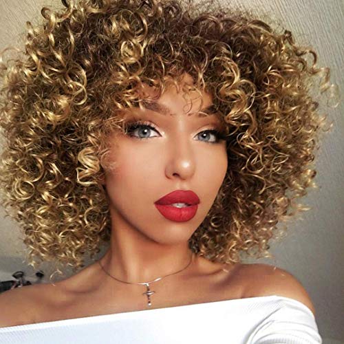 izhenwo Afro Wig Synthetic Kinky Curly Wig for Women Afro Kinky Ombre Wigs Short Curly Brown Afro Wigs Shoulder Length Synthetic Kinky Curly Wigs for African American Women Natural Curly Wig