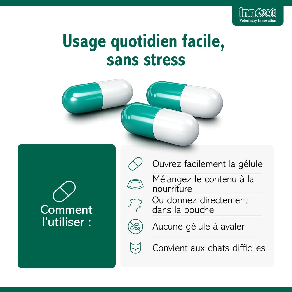 Innovet Condrostress (+) Cat - Complément Alimentaire Articulaire pour Chats Adultes et Âgés, Confort Articulaire, Mobilité, Collagène, Chondroïtine, Acide Hyaluronique, Facile à Donner - 30 gélules