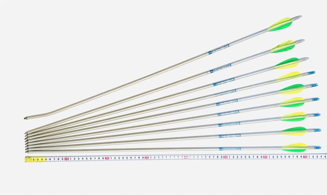 Amazon.co.jp: アーチェリー アルミアロー(矢) 1716 9本 E75 シルバー