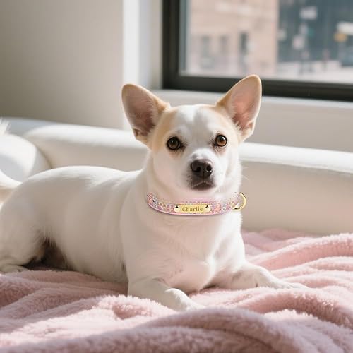 Miniatura 6 de Collar de perro personalizado, nombre grabado y número de teléfono, collar suave y ajustable para mascotas con neopreno acolchado para todos los