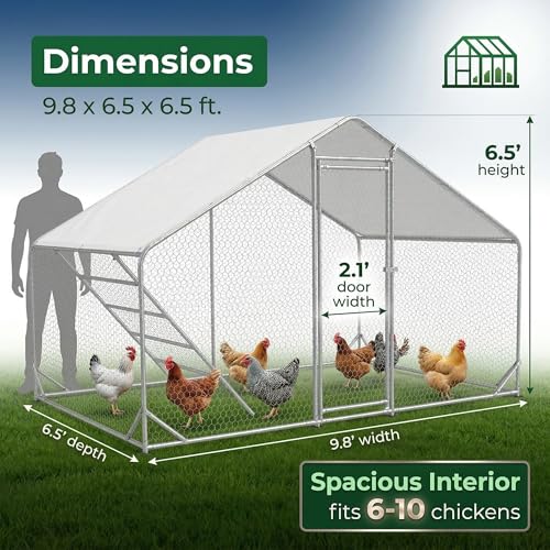 Image of CHIKENCOOP 9.8 x 6.5 x 6.5 ft Metal Chicken Coop, Chicken Run with Cover