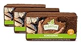 FLORTUS Kokos Anzuchterde 30L | Kokoserde gepresst, ungedüngt & torffrei | Kokosziegel, Humusziegel als praktische Quellerde | Kokos Blumenerde
