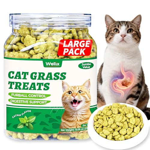 Wellix Cat Grass Treats with Catnip & Salmon - Healthy Cat Treats for Indoor Cats - Hairball Control & Digestive Support - Kittens Training Snacks for Teeth Cleaning 13.05oz