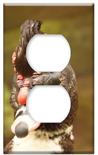 Switch Plate Outlet Cover - Nature The Field Armenia Quindio