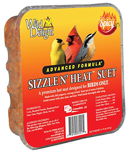 Wild Delight 1 Pack of Sizzle N Heat Spicy Suet for Birds 11.75 Ounces Each