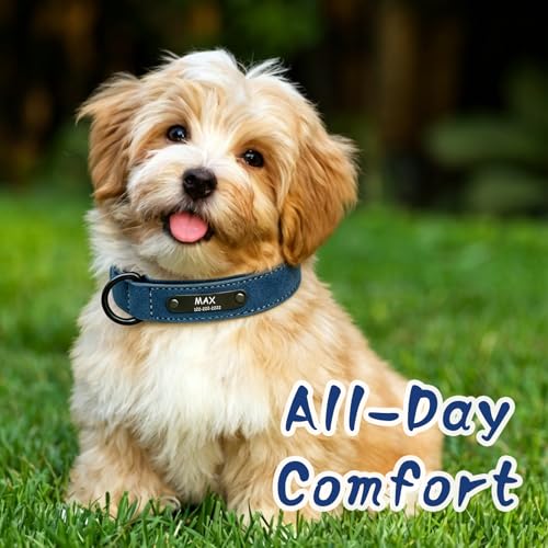 PU Leather Dog Collar Custom