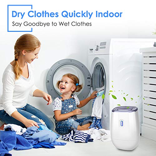 Dehumidifier - 41oz Capacity Electric Dehumidifier,Portable Mini Air Dehumidifiers, Auto Quiet up to 220 sq ft, Anti Overflow Dehumidifier for Home Bathroom Bedroom Closet Office Basement