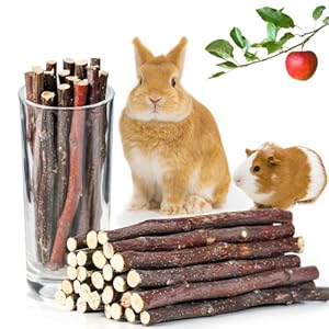 JanYoo Rabbit Treats and Chew Toys ...