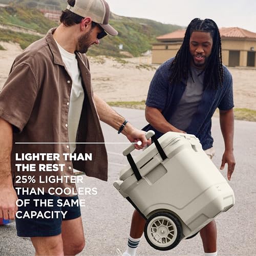 walk in cooler 2026 34