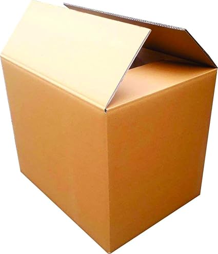 ADD-IT PRINTERS Corrugated 17.8 inch x 11.8 inch x 12.8 inch, 5Ply strong and sturdy Packaging Box (Pack of 10)