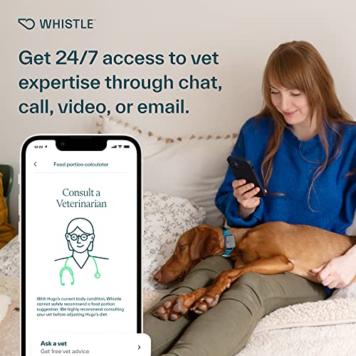 Whistle Go Explore Gps + Health + Fitness Dog Tracker Plus Health & Fitness Monitor, Waterproof, Safe Place Escape Alerts, Built-In Light, Fits On Dog Collar, For Dogs 25 Lbs And Up Grey #TOP7