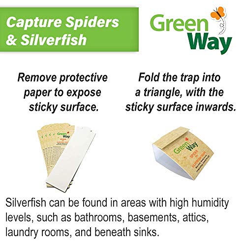 Buy GreenWay Spider & Silverfish Trap 72 pre baited Traps (12 Pack of