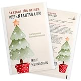 Nordmanntanne zum Pflanzen - Weihnachtsbaum Samen für dein Christbaum 2029 - Tannensamen als Adventskalender Füllung, Kleinigkeit zu Weihnachten oder Wichtelgeschenk für Frauen und Männer
