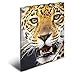 Produktbild Herma 7142 Eckspannermappe "Leopard", aus PP, DIN A3, 5 Stück