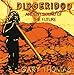 Didgeridoo: Ancient Sound of the Future