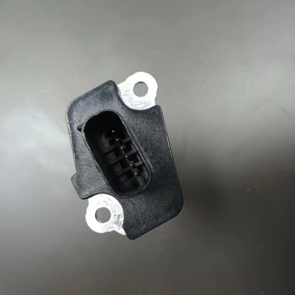 畑中優 不羈 道化師の油彩画 木製フレーム付き 畑中 優 展 2023