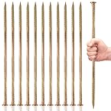 Design pratico: l'estremità appuntita a scalpello fa penetrare facilmente i paletti del tondo per cemento armato nel terreno, rendendoli ideali per un'installazione rapida e facile. Paletto per cemento armato adatto per l'uso su terreni morbidi (erba, spiaggia) e terreni duri (roccia, pietra, pacco)