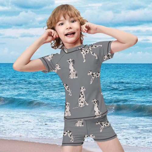 Great Dane Color DogChildren's Swimsuits Boys Two Piece Suit9-11Y（140cm）3