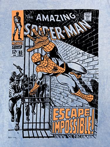 Marvel Superheroes Boys 2 Pack Short Sleeve T-Shirts, Avengers Spiderman Tees 2-Pack For Boys (Blue/Grey 2, Size 8) #TOP4