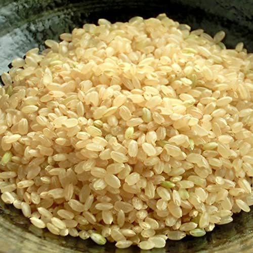 [お米を食べて健康に] 高橋さんの 新潟産コシヒカリ 玄米 10kg