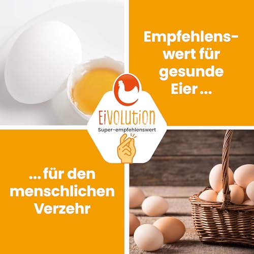 Eivolution 2kg Premium Bierhefe für Hühner: Mauserhilfe, reich an Vitaminen & Mineralstoffen - Multivitamin-Zusatz für Hühner und Nutztiere