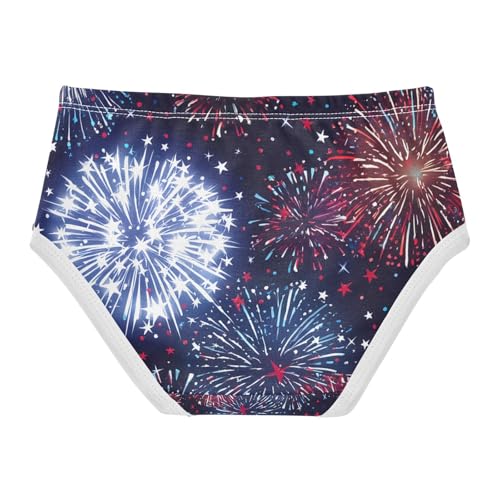 Fireworks Red Toddler Girls's Underwear 2T 202c17652