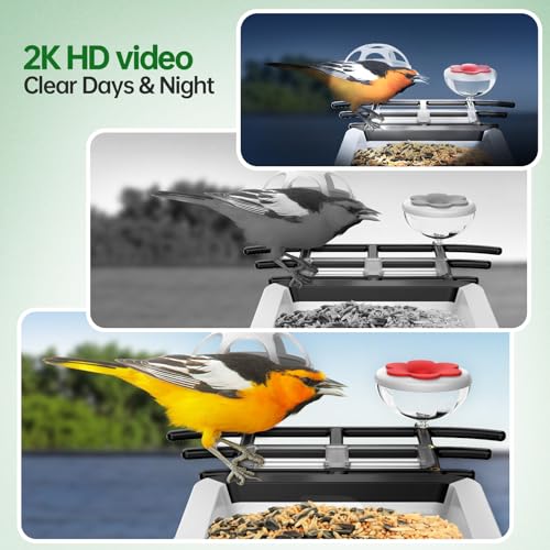 Bird Feeder with Camera - 2K HD Live View, AI Identification & Instant Alerts, Weatherproof for Outdoors, 2.4GHz WiFi Solar Powered Smart Feeder for Bird Lovers