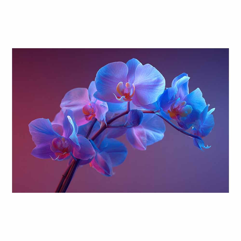 ZAMAEIU Natural Scenery Painting Clustered Orchid Branches Pictures Artwork, Contemporary Wall Art Large Size, Room Aesthetic Home Decor,Living Room,Bedroom(blue)-50x70cm Unframed