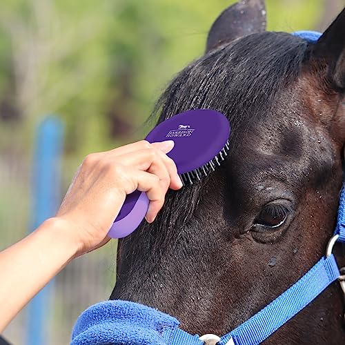 Brosse à crinière et queue violette Harrison Howard ShineWell pour cheval