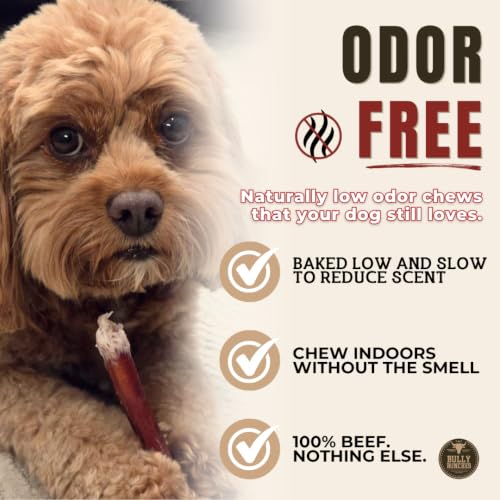 View 4