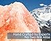 HemingWeigh Himalayan Salt Lamp with All Natural and Handcrafted Wooden Base, with Electrical Wire and Bulb 12.2 inches Height