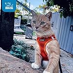 Voyager step-in air dog harness - all weather mesh step in vest harness for small and medium dogs by best pet supplies - harness (orange), medium 14 51aaygs ssl. Sl500. Ss150