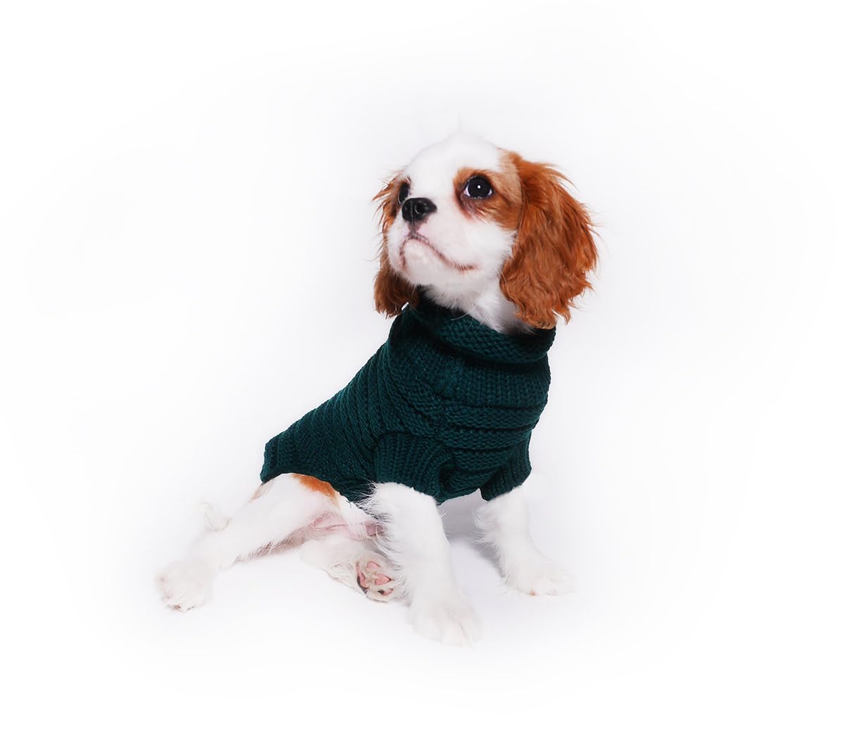 Pull pour chien Slim couleur vert bouteille XXL extensible et léger