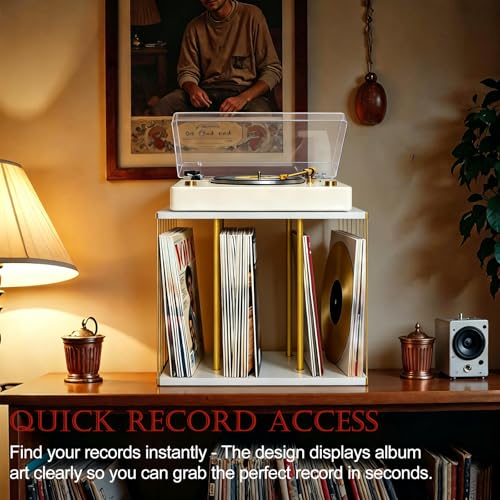 Almacenamiento de discos de vinilo para evitar que se doblen 4