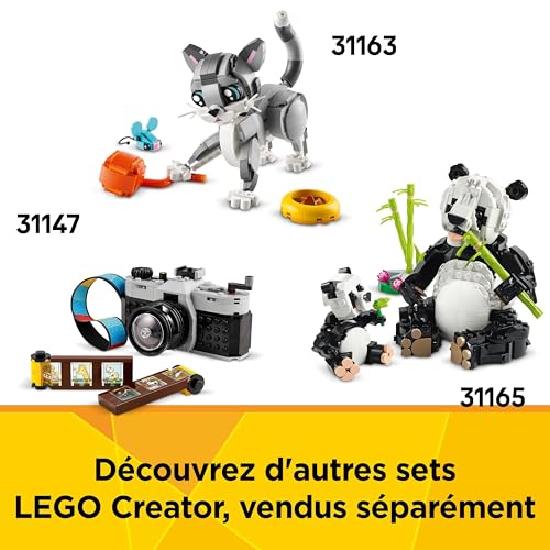 Lego Creator 3 en 1 La Machine À Ecrire Avec Des Fleurs 31169 Lego La Boite - vue 10