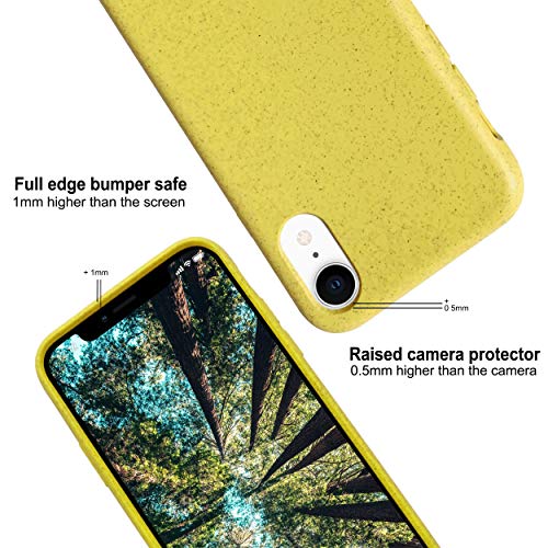 eplanita Eco Mobile Phone Case Compatible with iPhone XR, Plant Fibre, Drop Protection Cover, Durable and Sustainable (for iPhone XR, Yellow) eplanita Eco Mobile Phone Case Compatible with iPhone XR, Plant Fibre, Drop Protection Cover, Durable and Sustainable (for iPhone XR, Yellow)