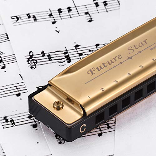 KKmoon Chave de C Diatonic Harmônica Mouthorgan com palhetas ABS Design de superfície de espelho 10