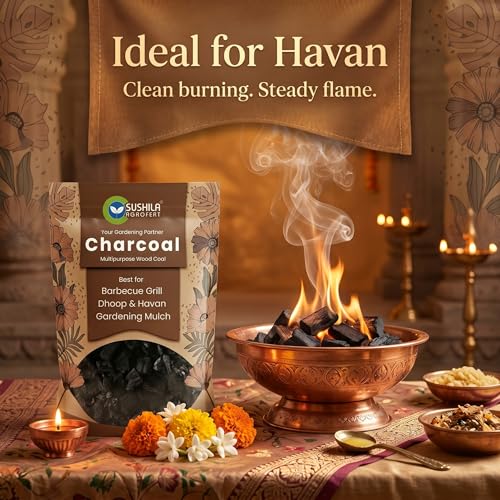 Image of Eco-Friendly Natural Wood Charcoal 1KG | Long Burning Coal & Air Purifier Koyla for BBQ, Grilling, Cooking, Pooja, Dhoop, Havan & Gardening | Activated Charcoal for Indoor Plants