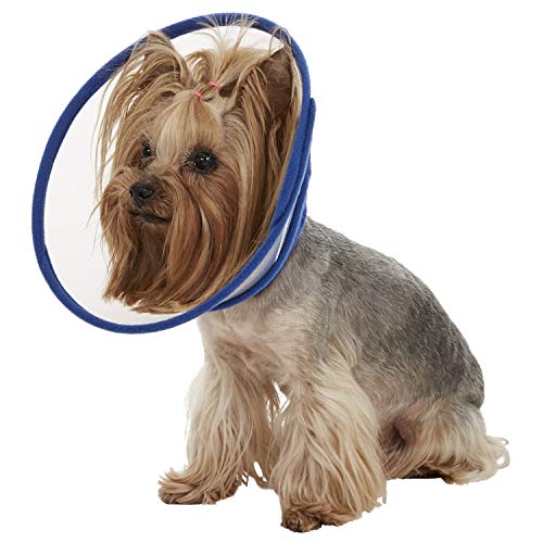 Alfie Pet - Zumi Recovery Collar with Soft Edge (for Dogs & Cats) - Color: Blue, Size: Small