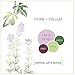 Grab Green Garbage Disposal Freshener and Cleaner Pods, 48 Count, Thyme with Fig Leaf, Plant and Mineral Based, Removes Odors, Loosens Grime, Prevents Clogging