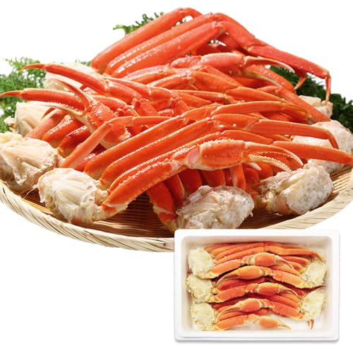 I YCKj  {C 3kgO 󂠂 Ɩp Jj ͂ k̑蕨