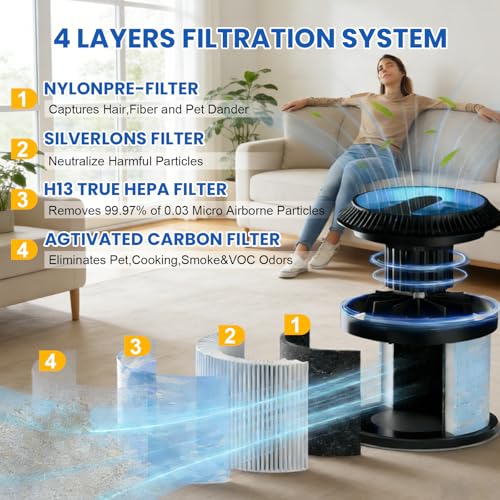 Image of MK06 MK01 True HEPA Replacement Filter for AROEVE MK01 MK06, FreAire KN6391, Kloudi DH-JH01,ToLife TZ-K1, POMORON MJ001H, Intelabe EPI080 /EP1080, Elechomes EPI081 /EP1081 Air Cleaner Purifier,4 Pack