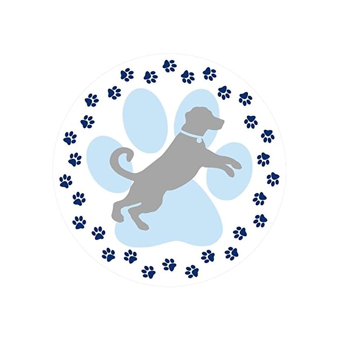 How To Stop Dog From Running Through Screen Door